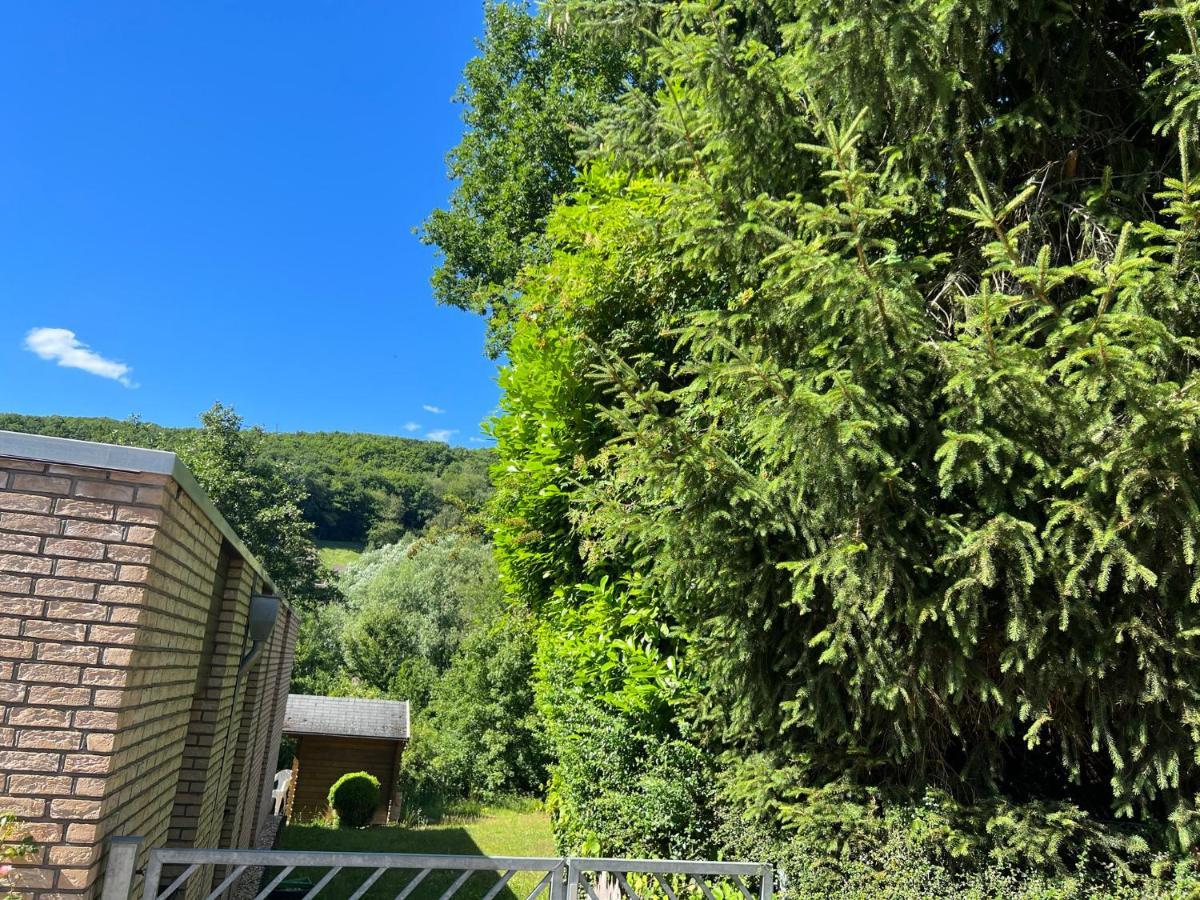Gaestehaus Zum Buchenweg Hasenfeld Esterno foto